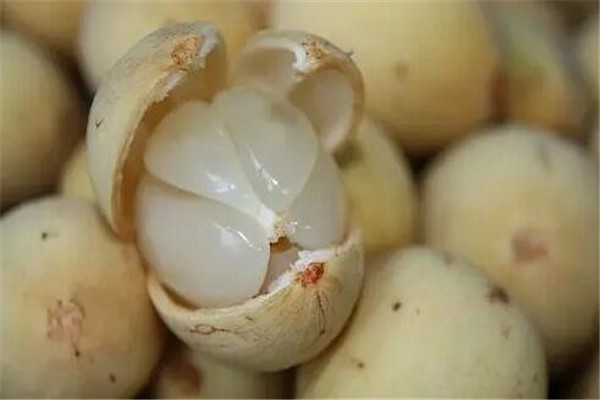 印尼特色水果有哪些,印尼三大名贵水果