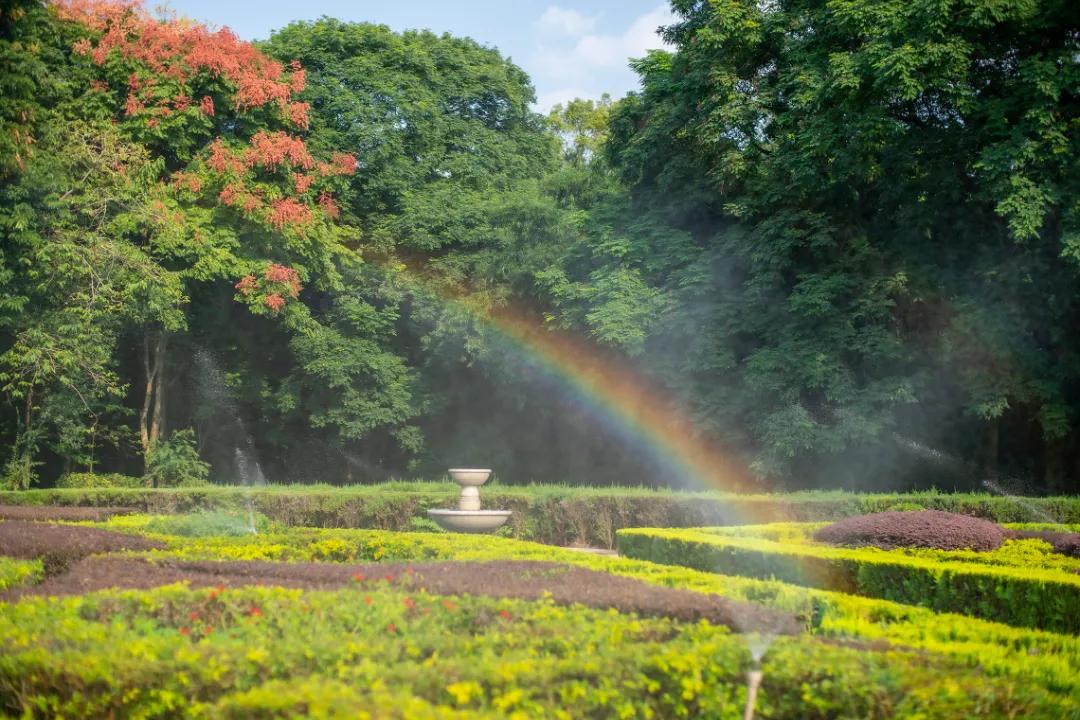 住进风景里的酒店,住进森系酒店