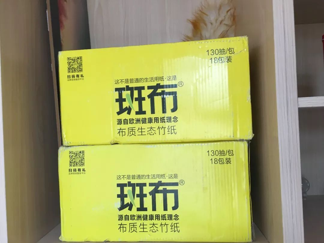 十大家居好物第五名,白菜家居好物