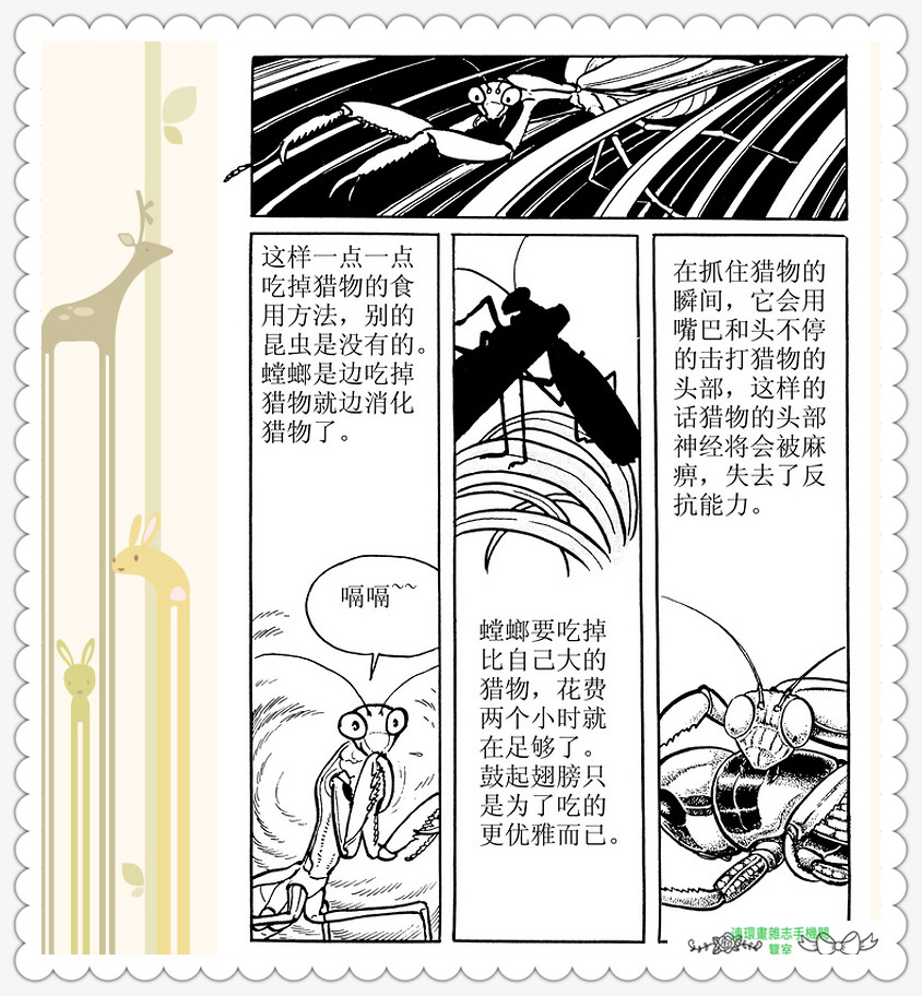 昆虫记法布尔动画片,昆虫记法布尔全套