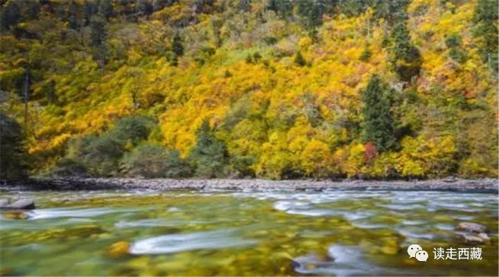 鲁霞美景,鲁霞村风光