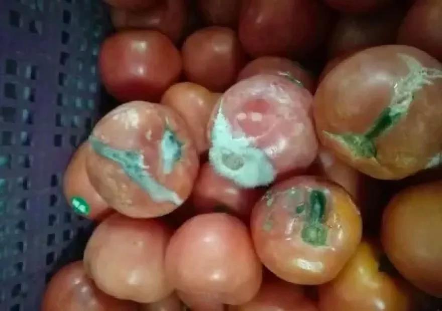 五星级酒店乱象看法 (最新五星级酒店事件)