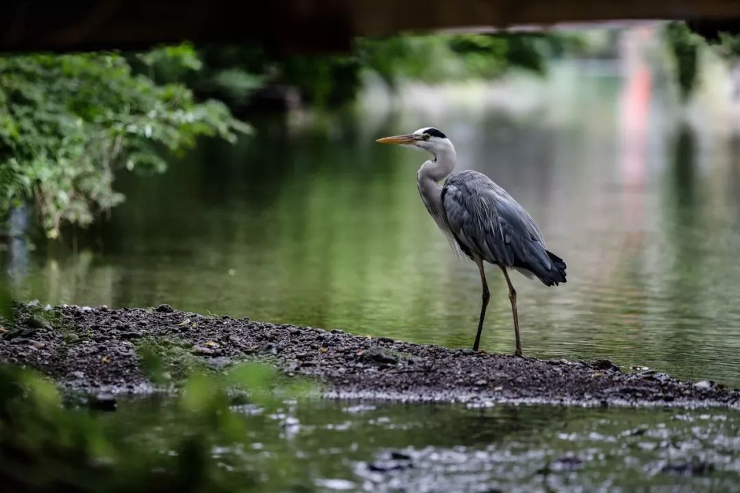 初学摄影需要买的基本器材 (新手入门摄影买什么相机)