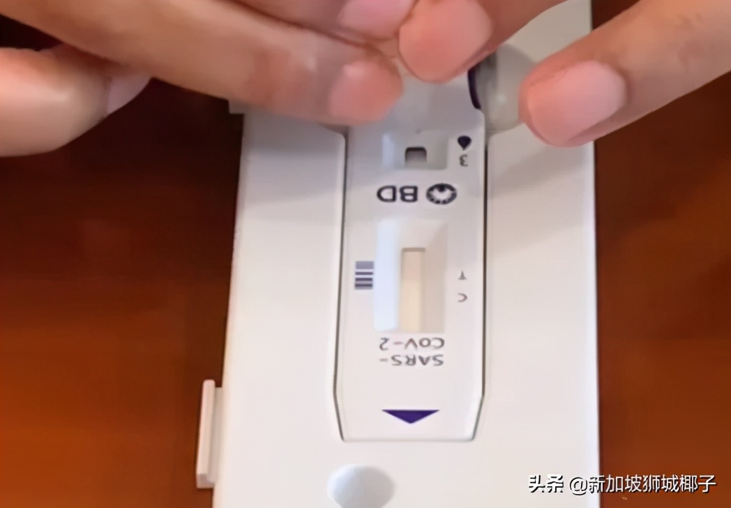 新加坡检测新冠病毒的条件,国家新冠病毒检测抗原