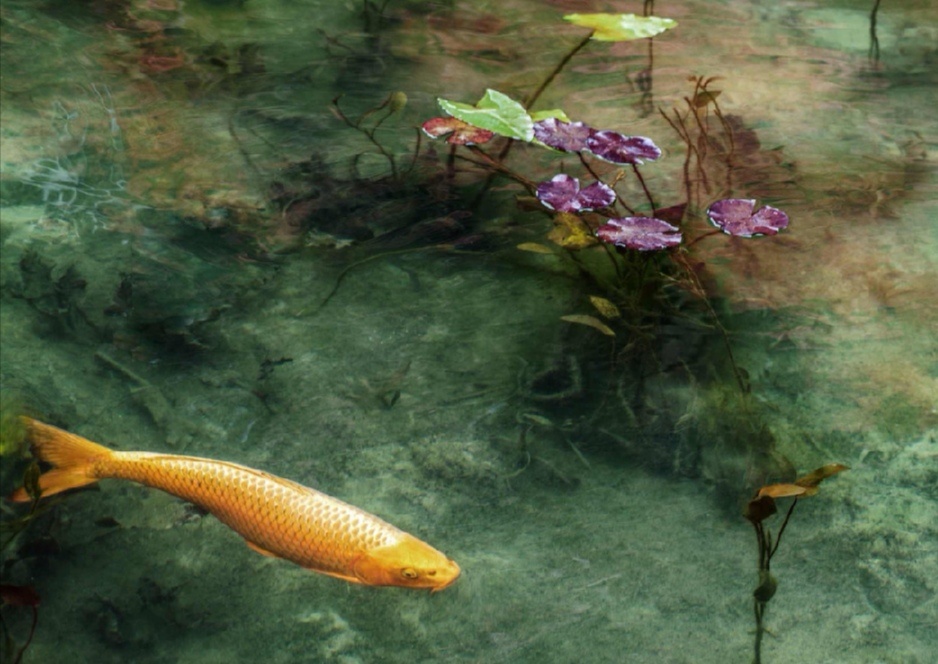 托福口语考试中的高频短语精选,雅思托福口语话题答题技巧