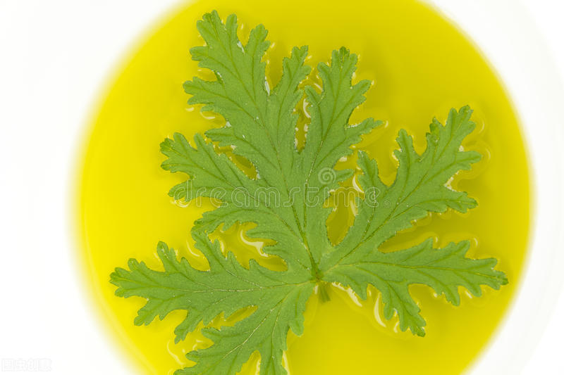 香茅油的市场分析,香茅油食用油