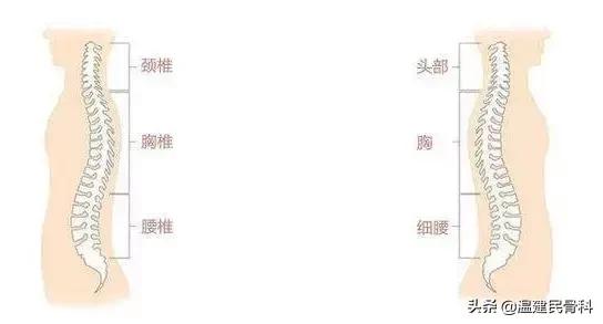 注意身体出现这9种信号要小心了,脊椎病变的症状有哪些