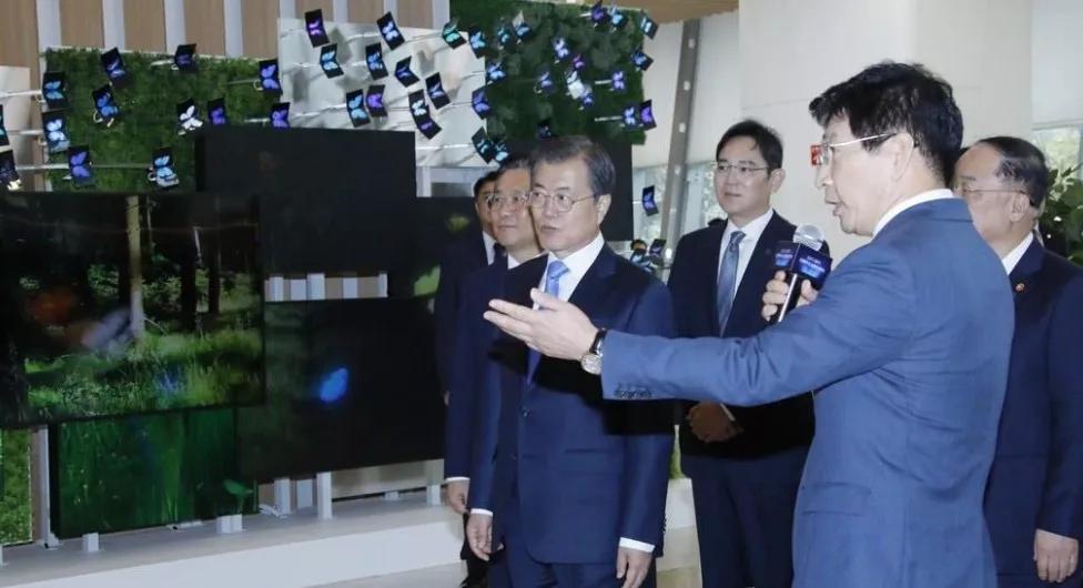 韩国不用服兵役能有多高兴,不要为我担心韩国