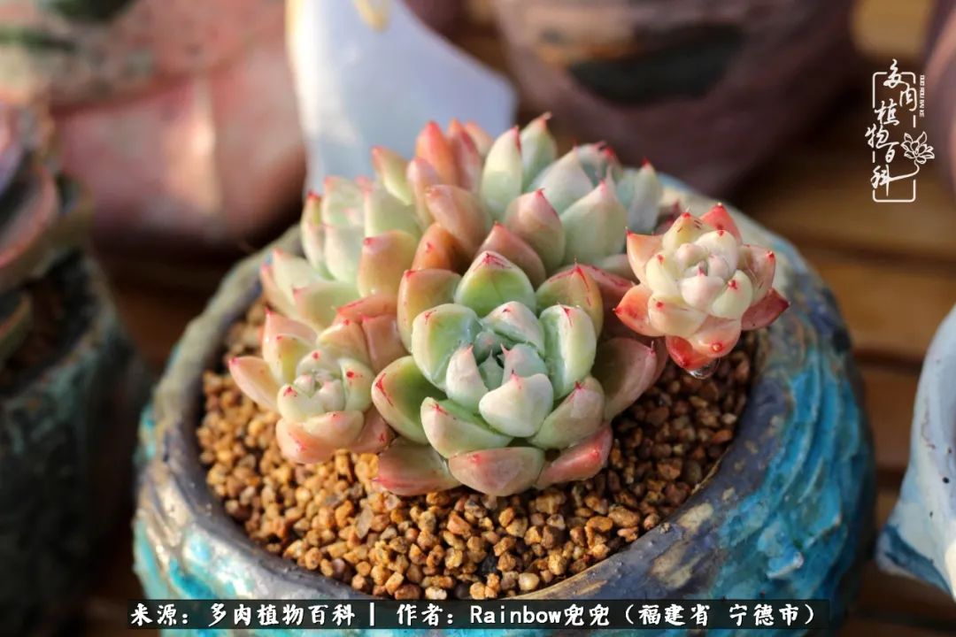 岁月无波澜余生不悲欢是啥意思,愿你岁月无波澜敬我余生无悲欢