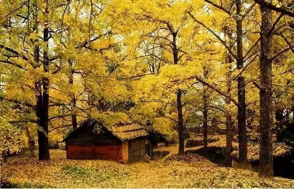 10个小众地方,十个冷门小众国家