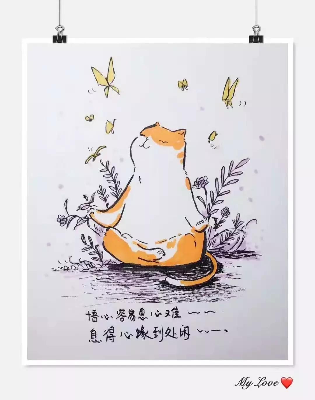 人都爱自由而自律才能自由,只有生活自律才能真正的享受自由