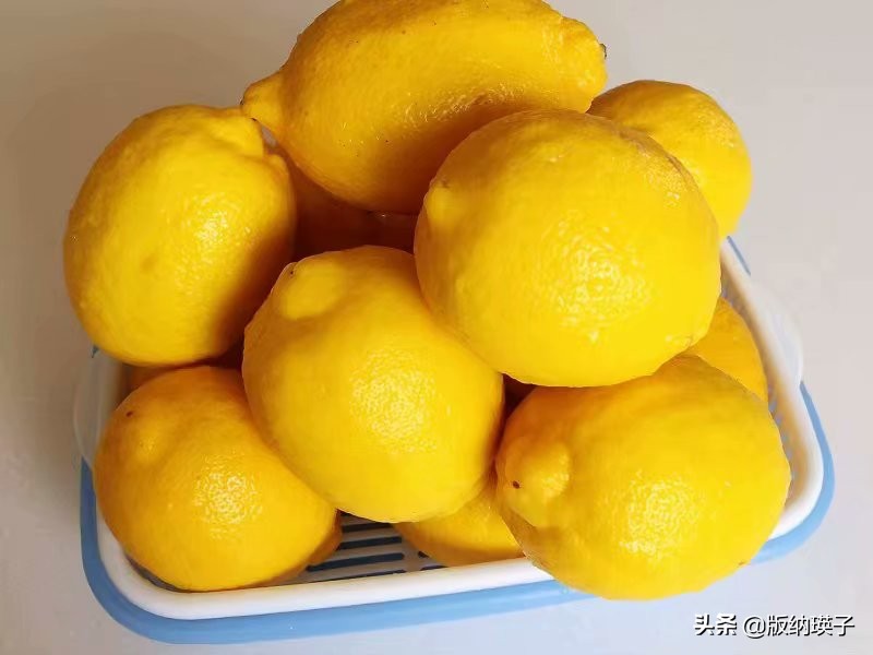 农用酵素的自制方法配方和比例,柠檬酵素正确制作方法