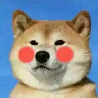 不管啥粉底液滴几滴,不管什么粉底液都卡粉