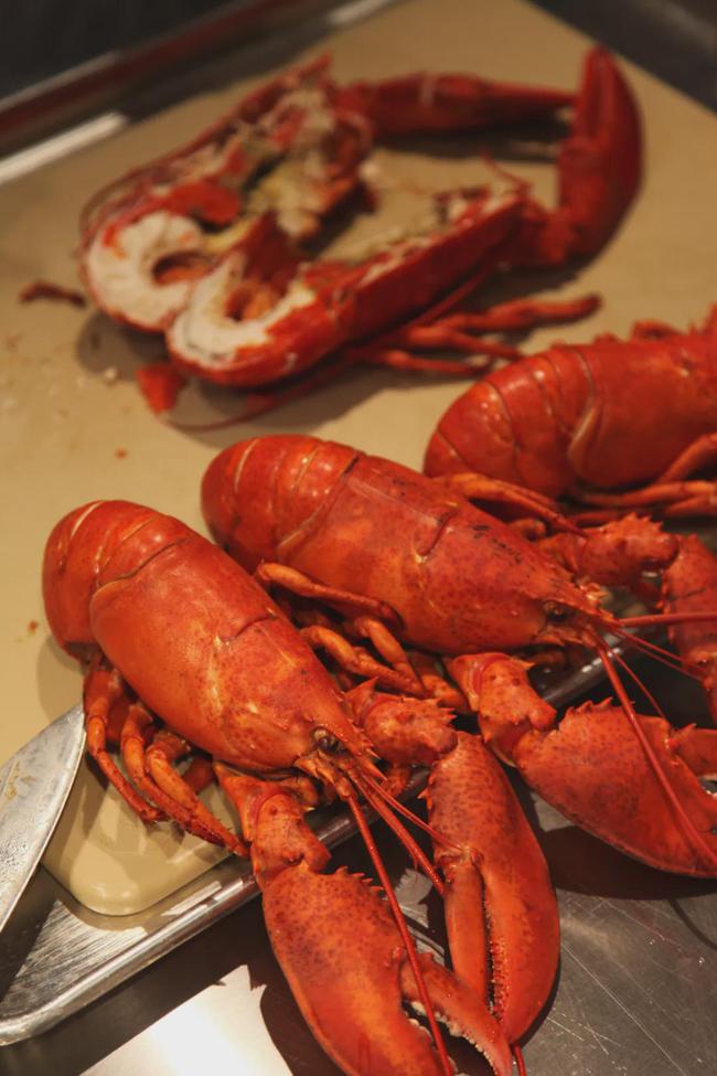 美洲螯龙虾怎么分解,美洲螯龙虾波士顿龙虾