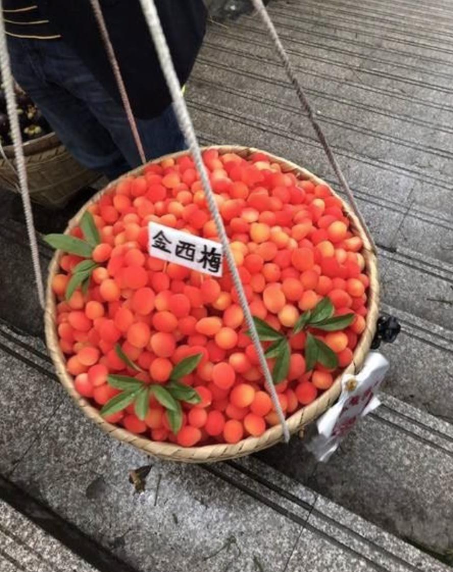 50种不常见的奇葩水果,盘点一下那些少见而又奇葩的水果