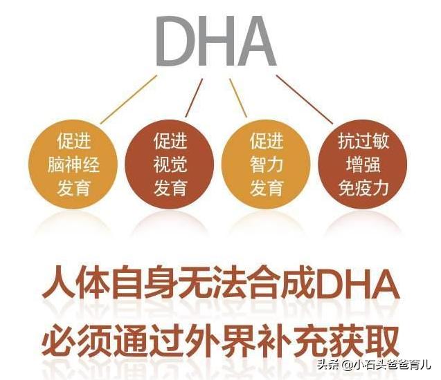 孕期补充dha真的能提高宝宝智力吗,孕期补dha有助于提高宝宝智力吗