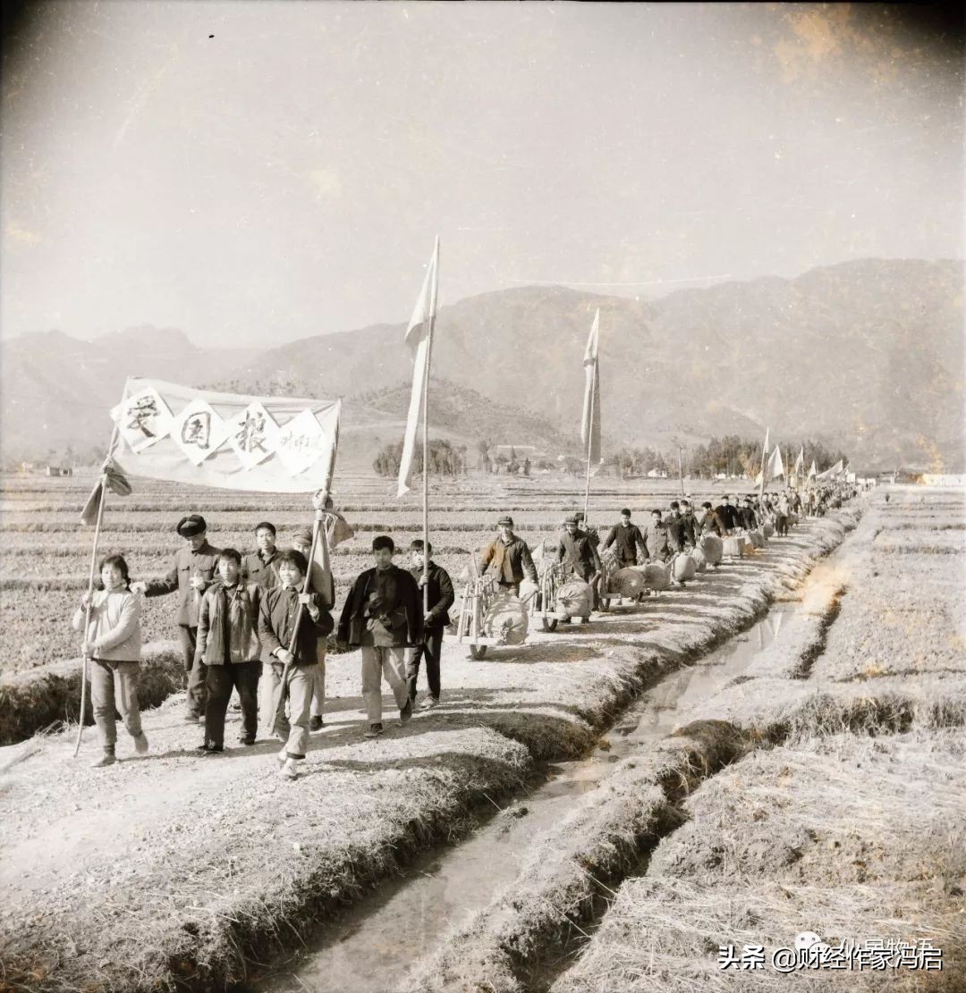 中国乳业之殇,中国乳业十年