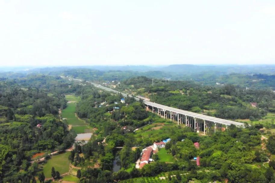 井研这五年丨门坎镇：“竹韵门坎”蝶变跃升