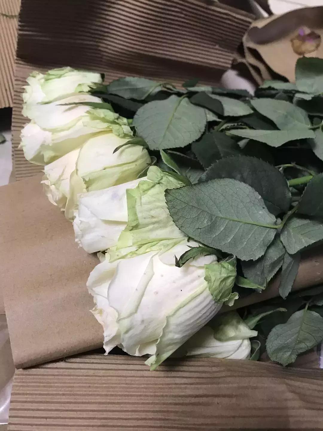 玫瑰鲜花养护方法和时间,玫瑰花束怎么养护延长花期呢