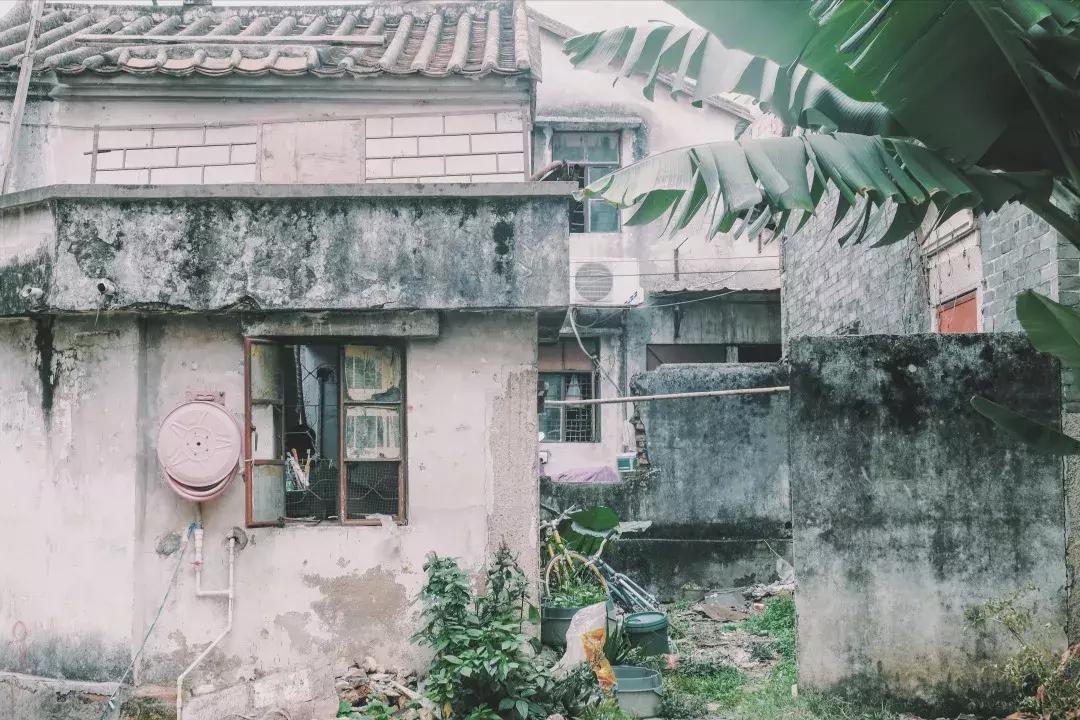 每个地方都有个沙井,好多地方叫沙井