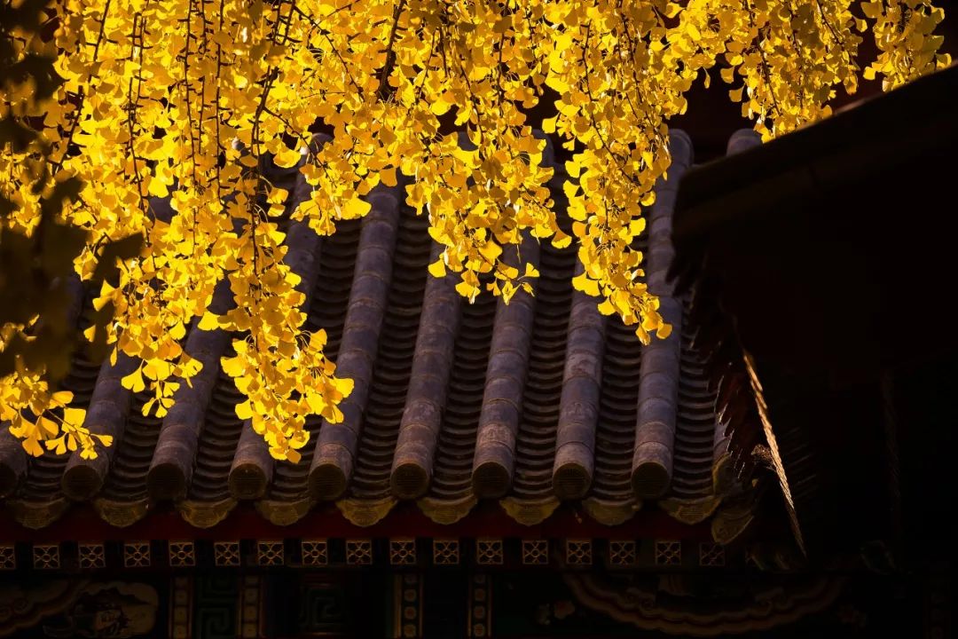 人健康的十大秘诀,10句健康箴言体勤益寿心静延年