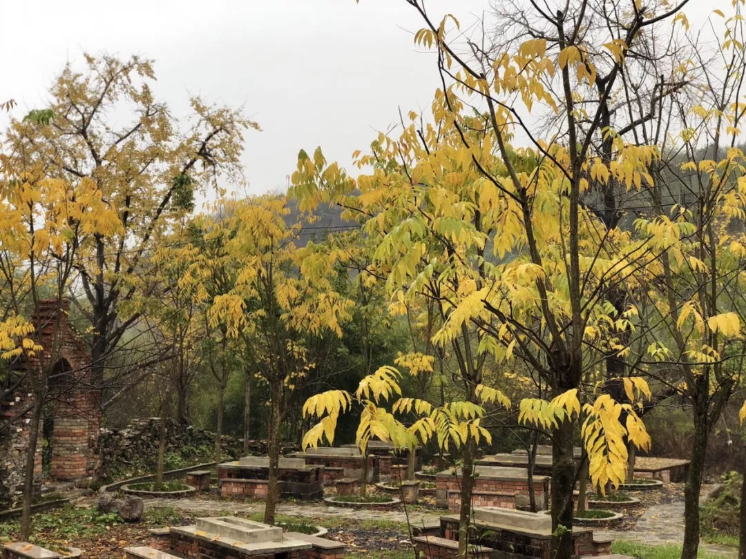 皖南川藏线皖浙天路自驾游,安徽皖南318自驾游