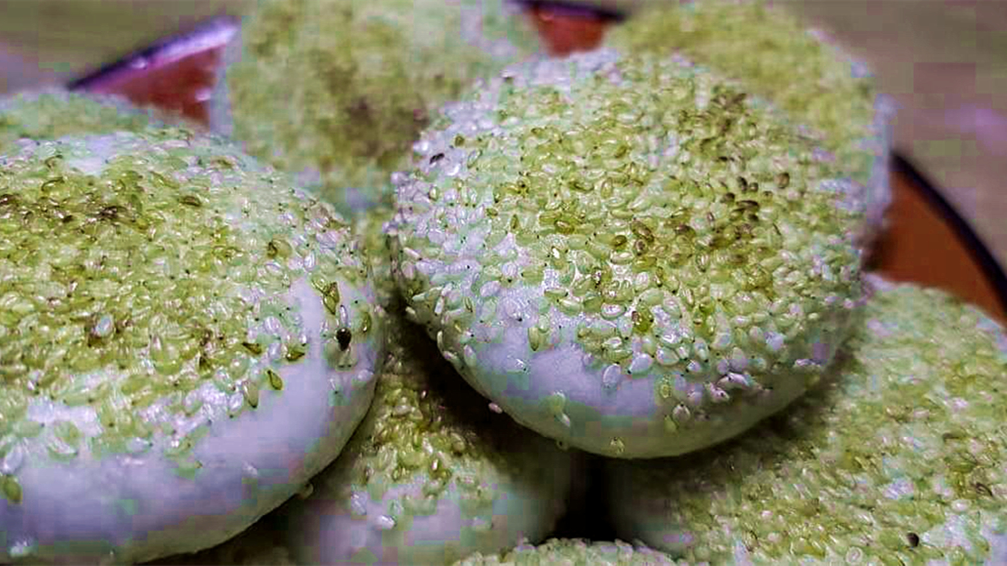 萝卜丝饼发面的好吃还是死面的好,萝卜丝饼做法加多少面粉