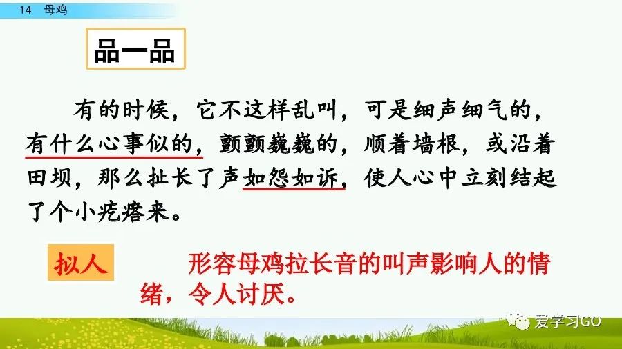 四年级下册语文母鸡课文重点讲解,四年级下册语文14课母鸡重点知识
