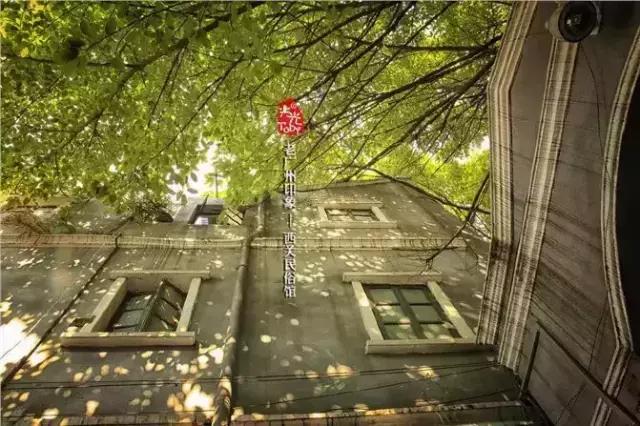 广州早茶看粤剧,老广州早茶听粤剧