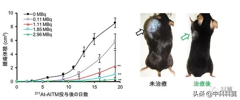 恶性黑色素瘤靶向药效果,恶性黑色素瘤靶向药