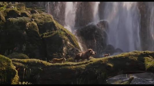 狮子王辛巴成长之路,狮子王辛巴从小变成雄狮