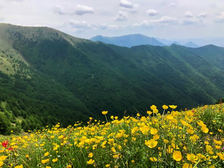 小五台山景区游玩攻略,小五台山快乐一日游