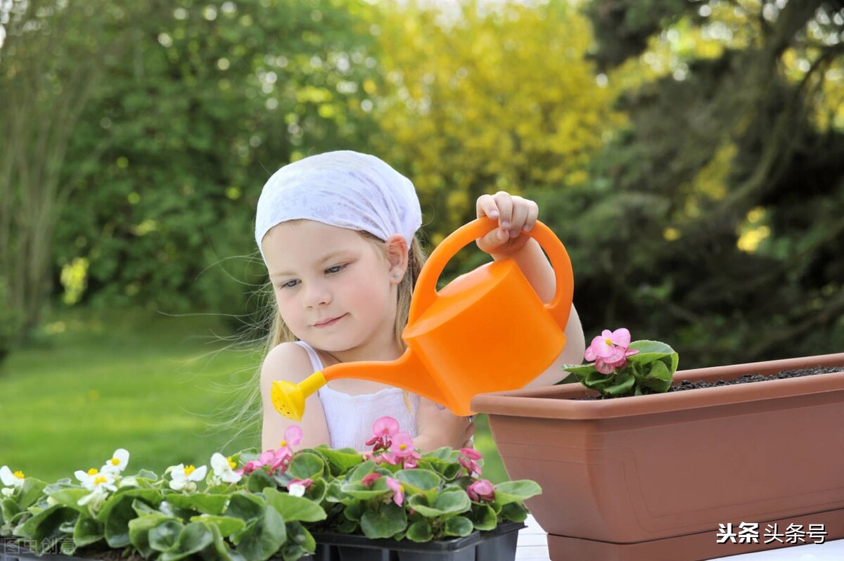 自媒体赚钱必背知识点,自媒体赚钱必备知识点