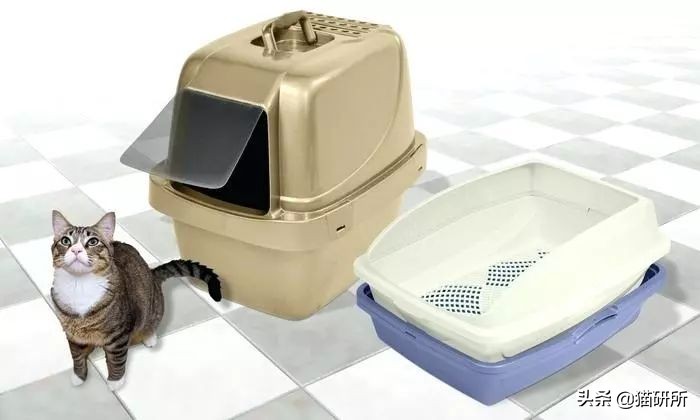 猫砂盆买什么样的最好,猫砂盆选什么的最合适