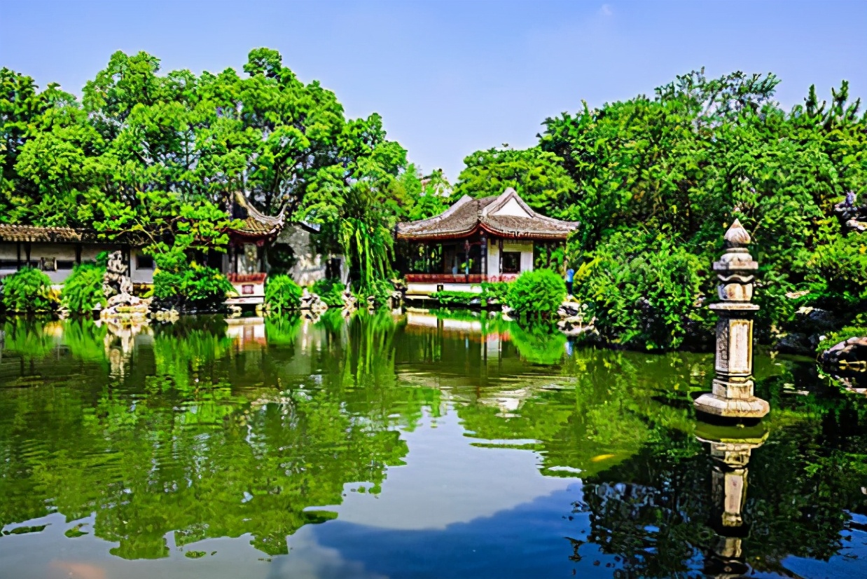 苏州最孤独的树夜景,苏州最孤独的树地址