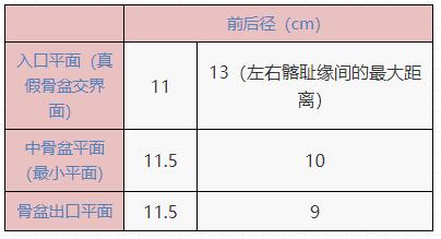 护考女性生理系统解剖学习技巧,女性生理解剖护考考点