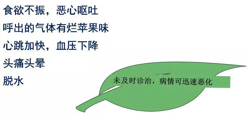 糖尿病酮症的急救及护理,2型糖尿病的住院治疗方案