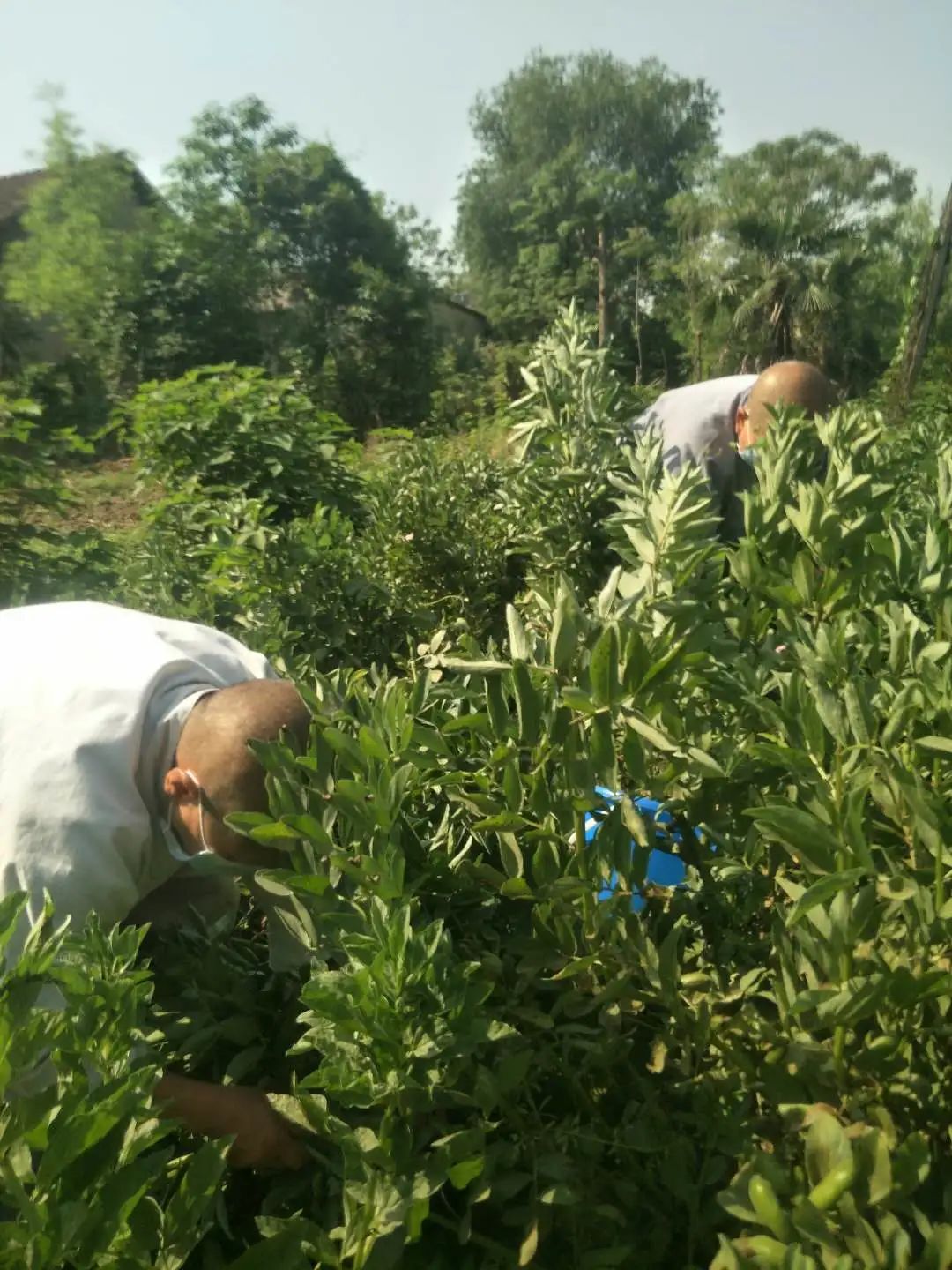抢抓农时开展农业生产,农民纷纷抢抓春耕生产有利时机