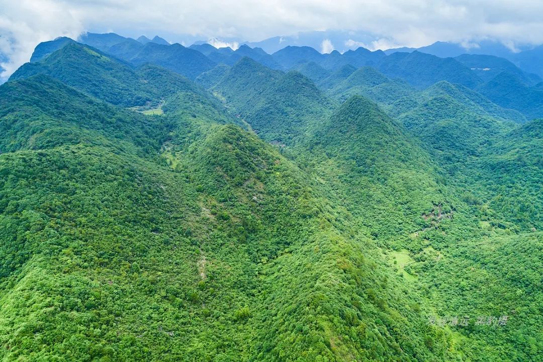 徒步穿越秦岭无人区,徒步穿越喀斯特森林