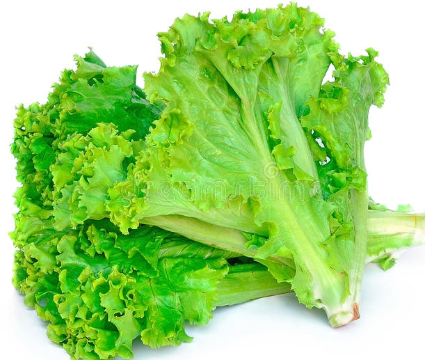 清洗叶类菜的最佳方法,清洗花叶子用什么水最好