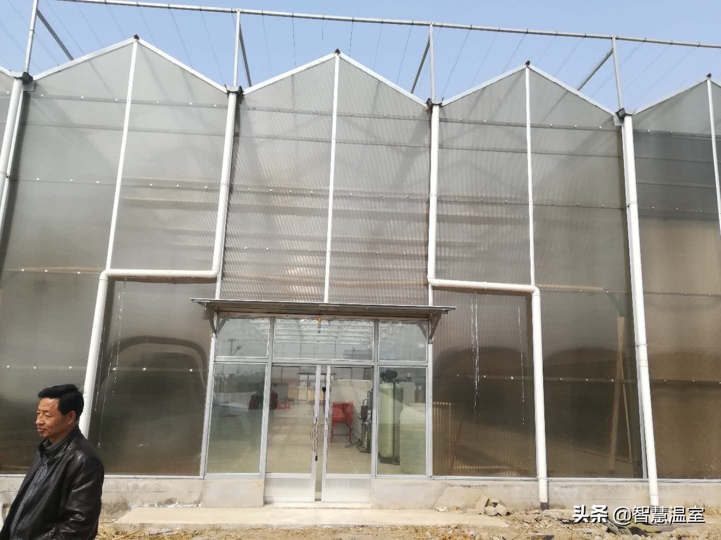 盘点温室大棚的优缺点，看看哪个类型适合你