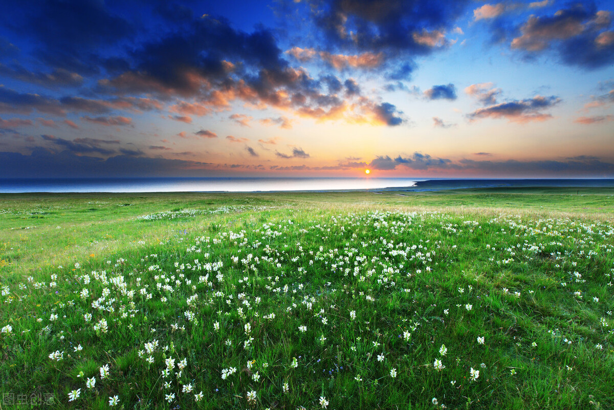 青海大学2021年硕士研究生拟录取名单（wu）