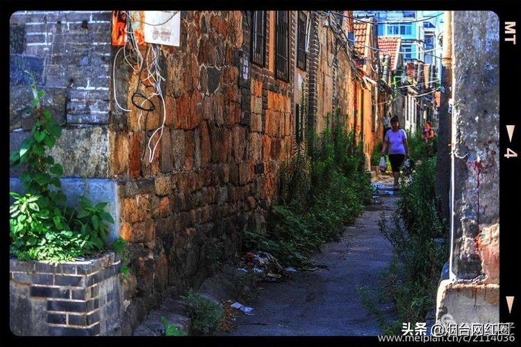 烟台所城里承载着多少回忆,烟台所城的来历