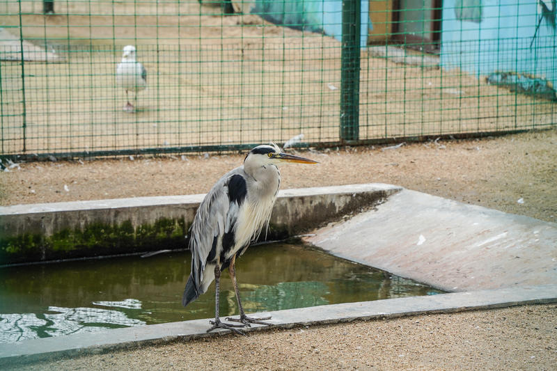 山东周边游2天1夜小众,5.1山东五日游