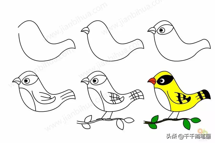 3-6岁儿童动物画入门教程,幼儿园动物画大全最简单