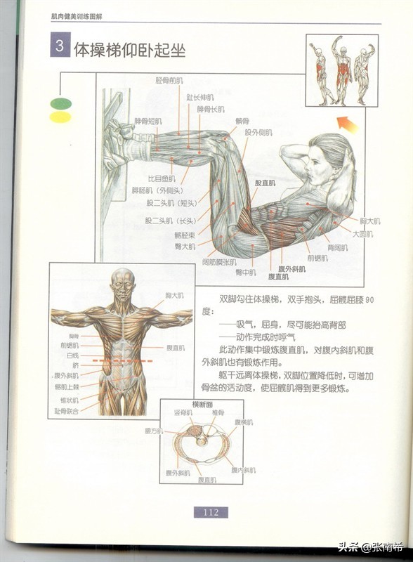 男士健身的进阶之路,男士运动健身全攻略