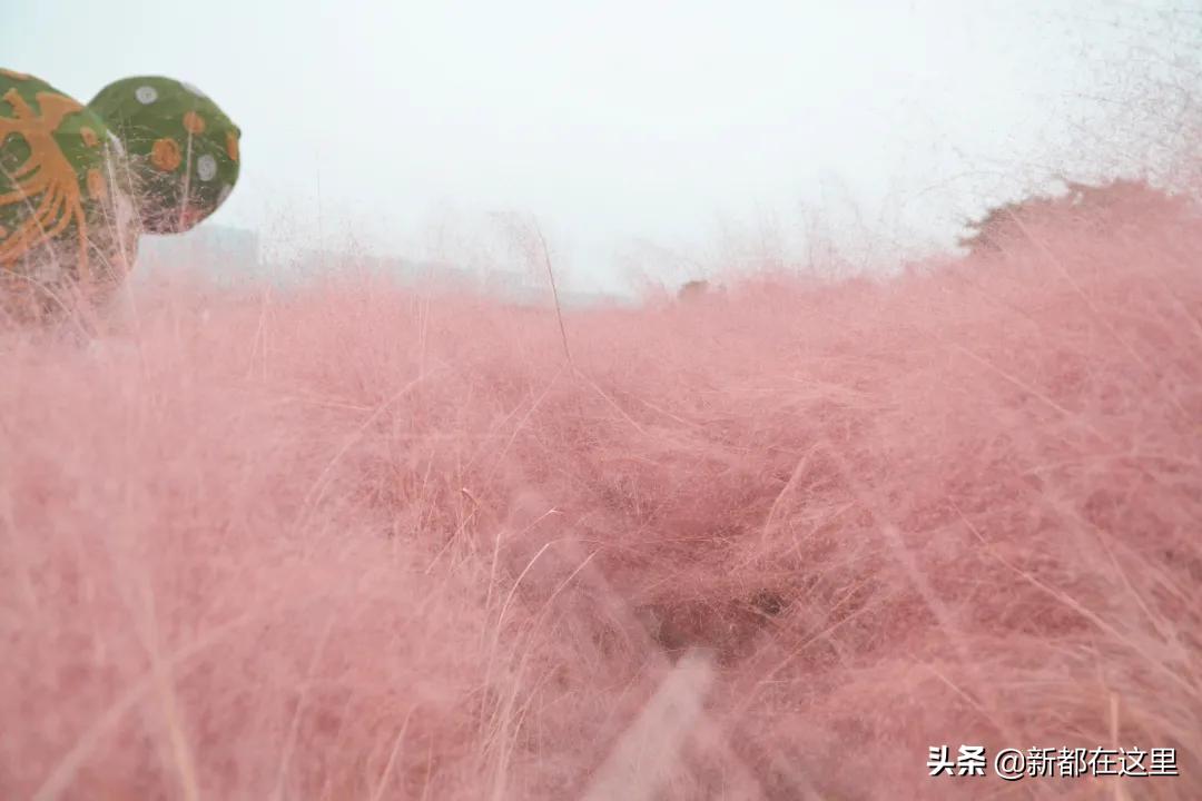 新都生活体验,来昆明感受向往的生活