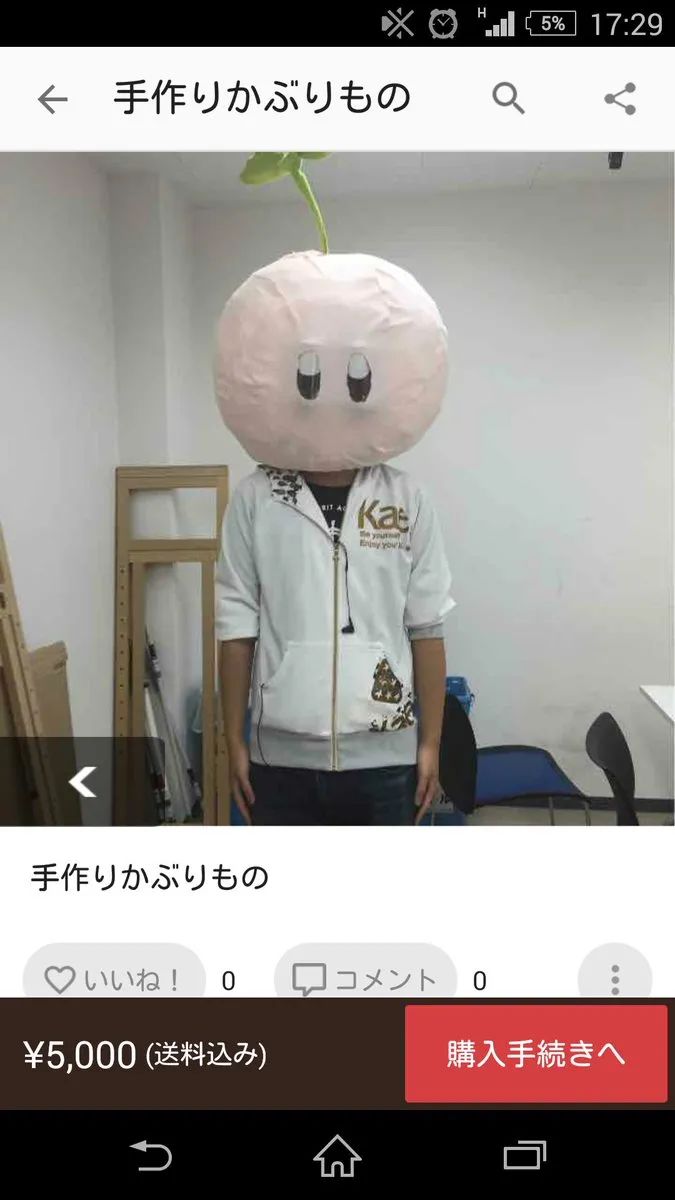 鏃ユ湰浜屾墜濂囪懇鍟嗗搧,浜屾墜缃戠珯濂囪懇鐗╁搧