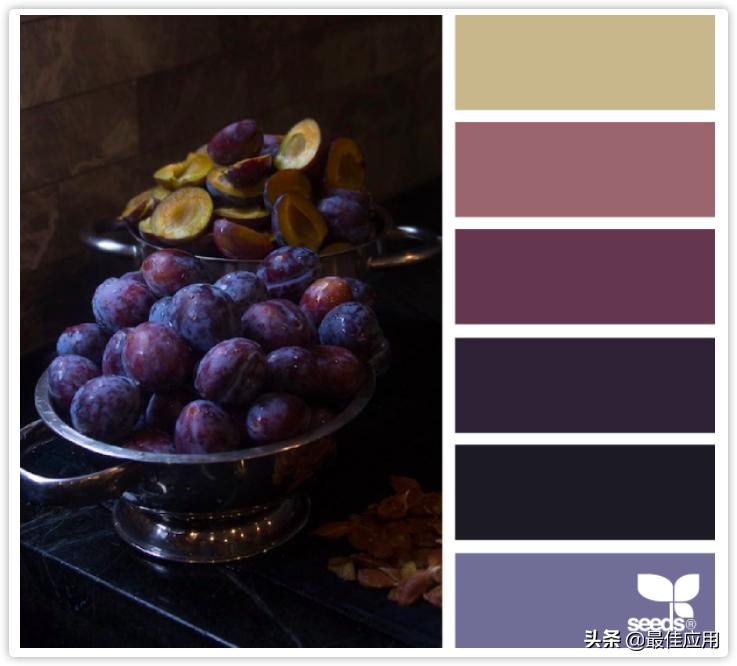 新大陆配色,整理了一波高级感配色