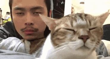 关于网络诈骗的一点点想法！